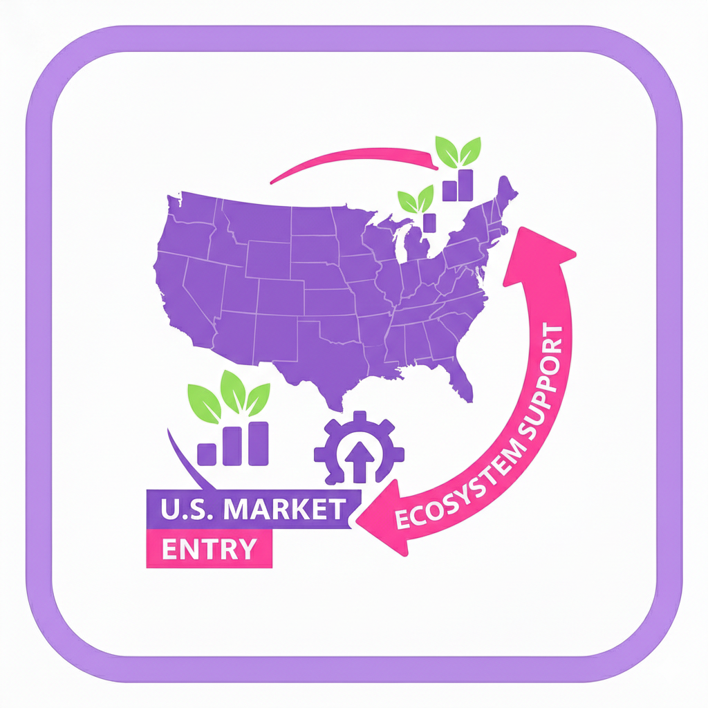US Market Entry and Entity Creation Support / Accompagnement à l'implantation et création d'entité aux USA